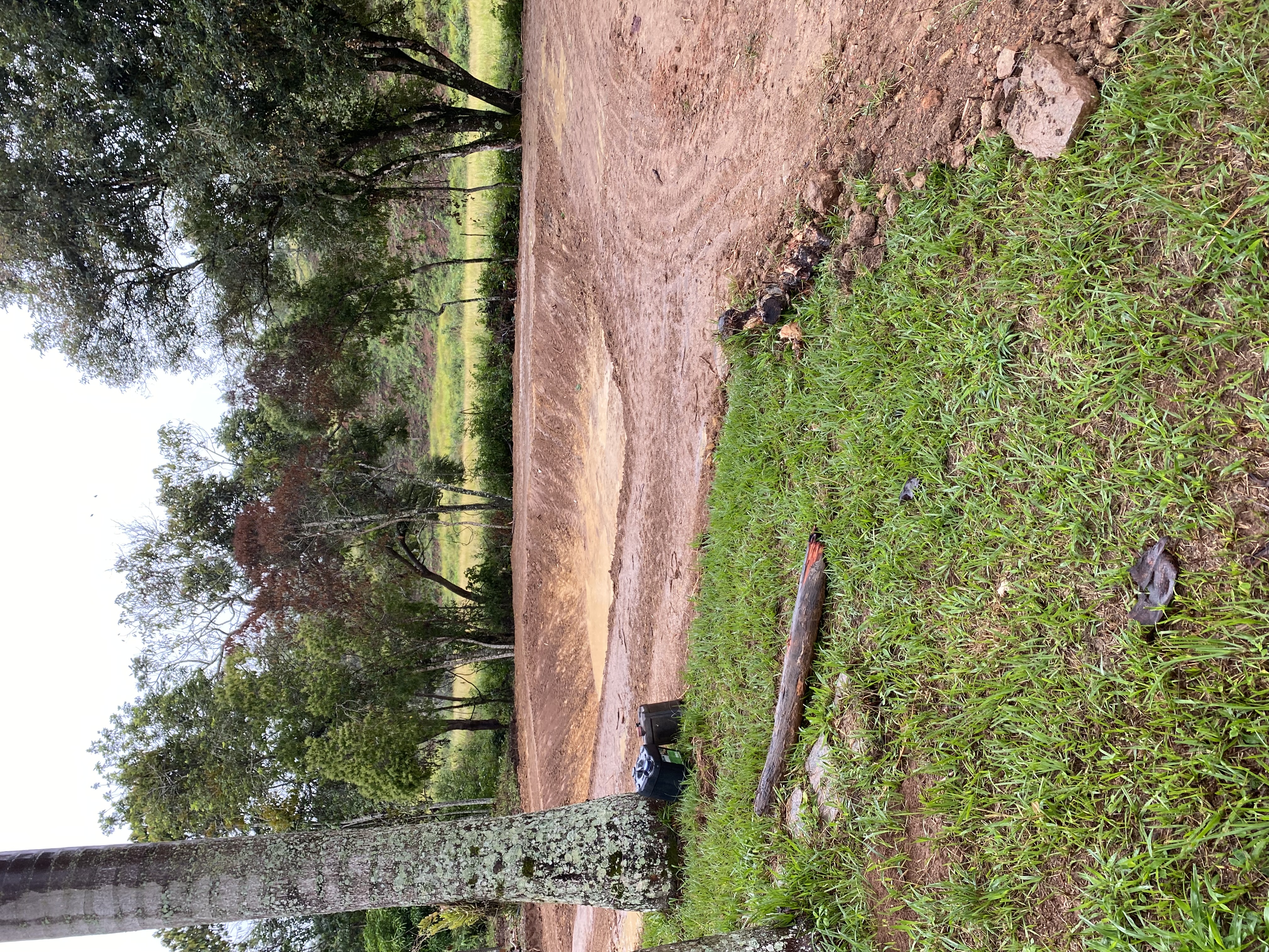 Trabalho 4