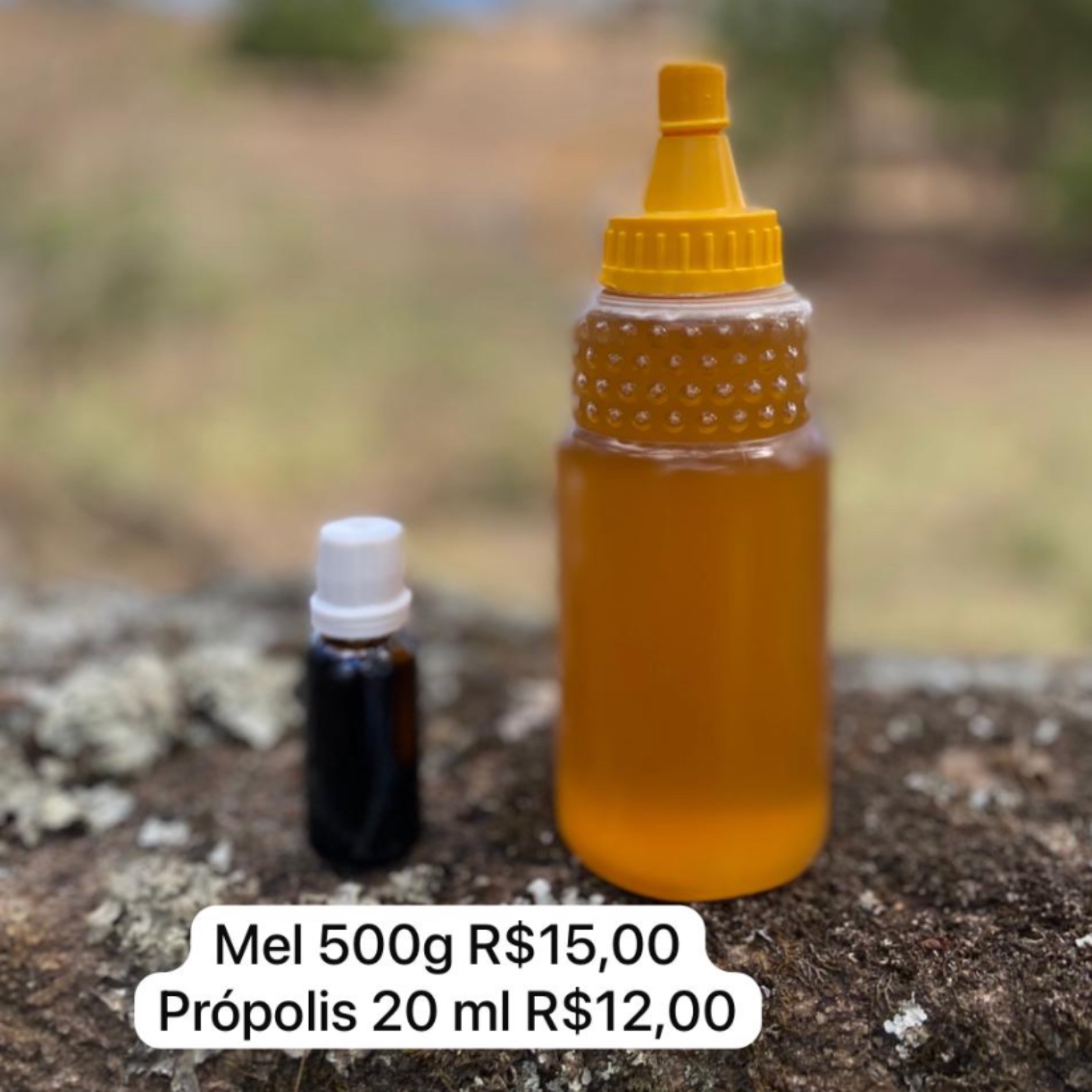 Mel e própolis