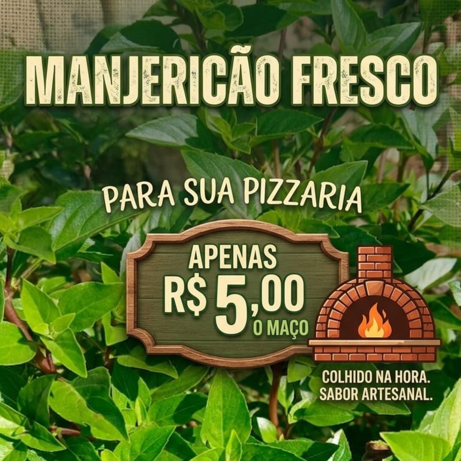 Manjericão Fresco